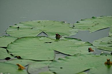 《使命召唤：战争地带》手游推迟至24年春季推出